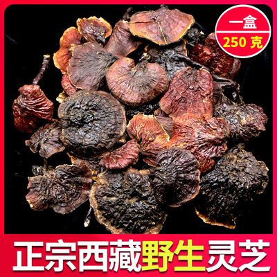 Действительно дикая Ganoderma lucidum, красная ганодерма Тибетского Линжи, порошковые таблетки без спор в Пномпене, подарочная коробка, цельная Ganoderma lucidum 250 г