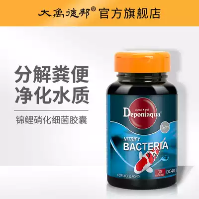 Dayu Debang nitrifying bacteria capsule Koi special nitrifying bacteria live bacteria Aquarium fish tank water purifier Digestive bacteria