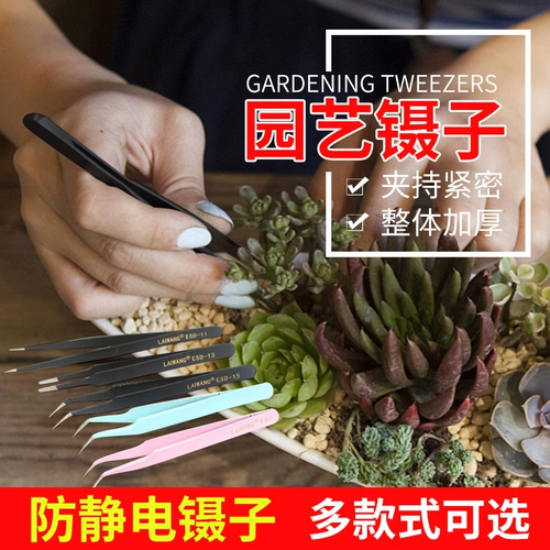 집게도 집게도 꽃 이 이 이 전문 족집게로 족집게로 정전기 정전기 방지 학이 입이 엘보 를 핀셋 으로 으로 으로 으로 으로