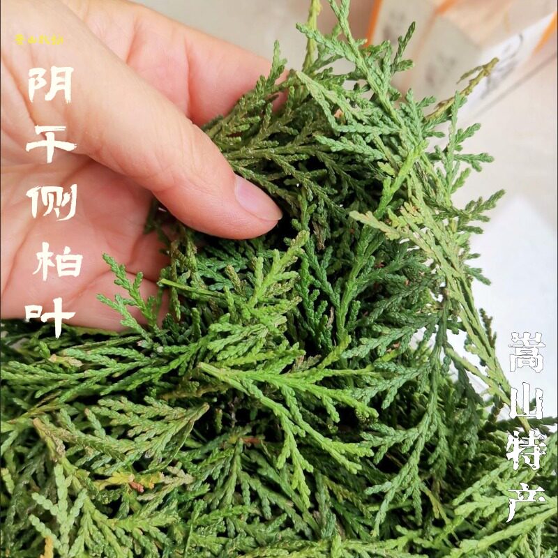 嵩山特产野生扁柏叶:古法阴干,止痒洗发护发神器!-香薰粉-淘宝好物网