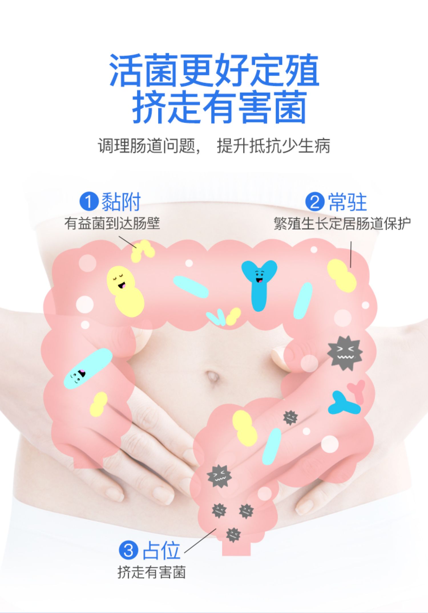 澳洲NC450亿冷链益生菌30粒/瓶