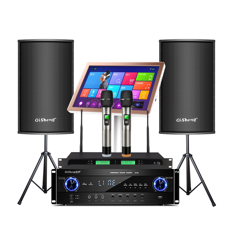 Chic 8 10 Inch Professional Sound Power Amplifier Suit Home K Song Home KTV Conference Room Card Bag Speaker Wall-mounted Dance Room High Power Heavy Bass Commercial Small Karaoke Full Set of equipment