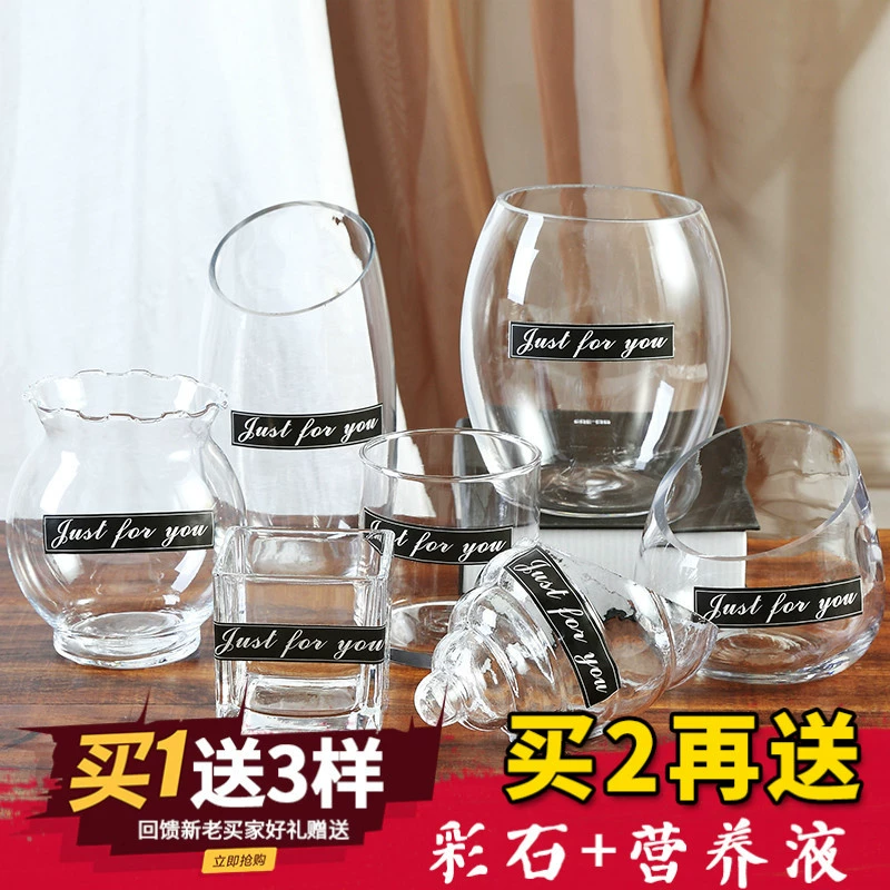 Phong cách Châu Âu bình thủy tinh trong suốt đơn giản thủy canh củ cải xanh chậu hoa bể cá cây thủy sinh trang trí phòng khách đồ dùng cắm hoa - Vase / Bồn hoa & Kệ