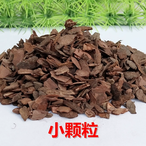 Ферментированная гнилая сосновая кора Антолога орхидея орхидея орхидея