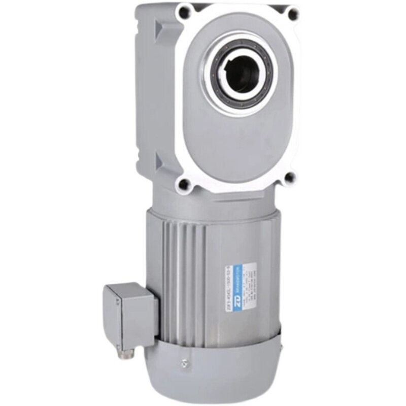 ZD ZD - Large Motor 100W - 1500W ZDF3 Series Solid - Hollow Axis gear reduction AC brake motor