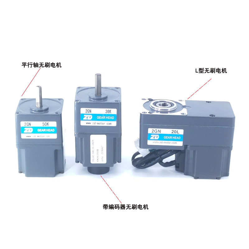 Z2BLD25-24GN-30S-2GN30K medium and large 25W DC brushless gearmotor optional 3-200K