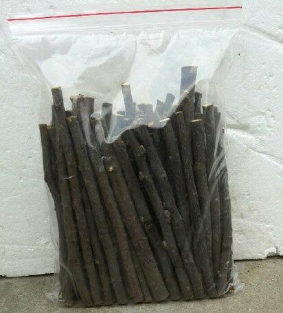 A catty RMB18  National 18 years Fresh natural apple Branches Hamster Rabbit Dragon Cat Great Love Grindroe