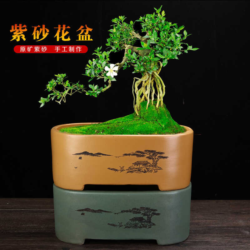 Yixing Purple Sand Bonsai Flower Pot for Money Tree, Banyan Tree, Welcoming Pine, Happiness Tree, and Large Rectangular Ganoderma Stump Pot Yixing Purple Sand Bonsai Flower Pot for Money Tree, Banyan Tree, Welcoming Pine, Happiness Tree, and Large Rectangular Ganoderma Stump Pot