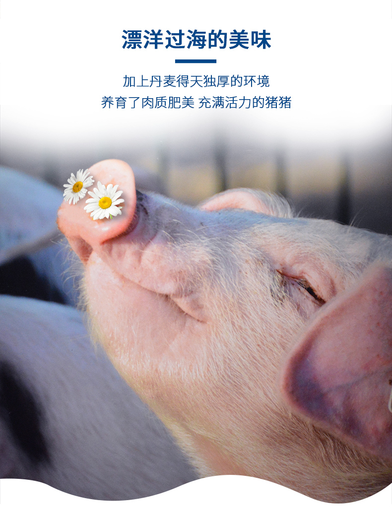 丹麦皇家认证 Tulip 郁金香 经典午餐肉罐头 340g*2罐 图3
