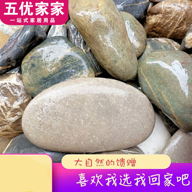 Kupit Reka Yajco Original Kamen Potok Kuski Press Blyudo Gusinogo Yajca Cherepaha Solnce Zadnij Kamen Sud Bolnica Pejzazh Landshaftnyj Dizajn Sad Magazin Doroga Akvarium V Internet Magazine S Taobao Taobao Iz Kitaya Nizkie