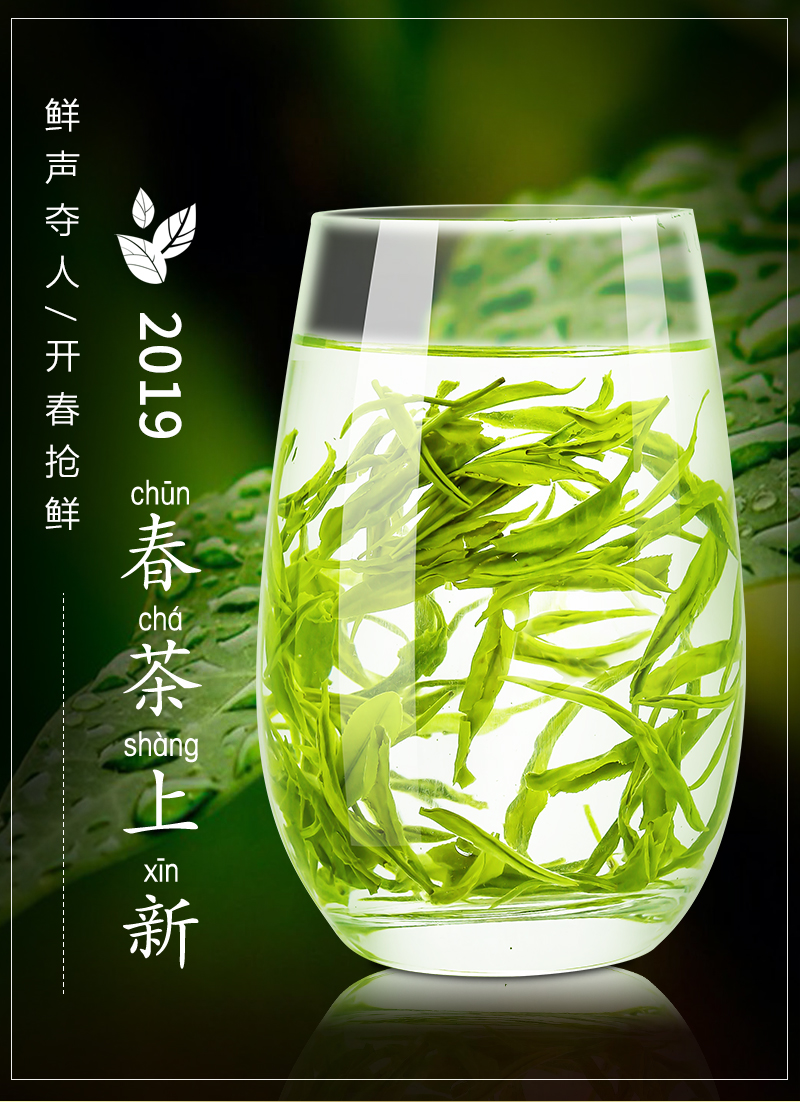 葛龙  高山云雾绿茶 100g 图3