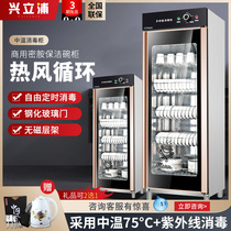 Commercial Disinfection Cabinet Single Door 460A-D02 Large Capacity Bowl Cabinet Cleaning Cabinet Hot Air Circulation Cutlery cabinet Commercial