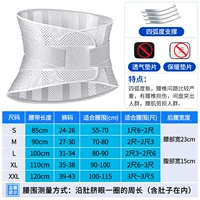 Серая (медицинская модель) Четырех дуговой стальной пластины поддерживает мышцы