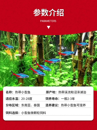 Тропическая декоративная рыба полезна для красной и зеленой рыбы рыбы пресноводная золотая рыба.