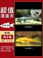 Qing Daofu пакет значений