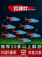 1,5-2 см. Красный и зеленый свет 30 штук для отправки 5 подготовки