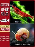 10 вишневых креветок+5 яблочных улиток