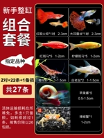 【Сочетание новичка всего цилиндра】 Пакет значений