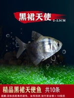 2-2,5 см Черная Юбка 10 Ангелов