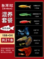 [30-40 см] Пакет цилиндров (трава) (всего 21)