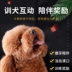 Hạt thịt bò cho chó 500g Kraft Teddy Golden Retriever Bichon Corgi Puppy Bổ sung canxi Đào tạo Phần thưởng Đồ ăn nhẹ cho thú cưng - Đồ ăn vặt cho chó