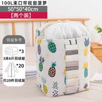 [Две установки] 100 л с ананасом из оконного ананаса