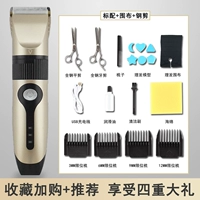 Местный стандарт золота тирана+забор+стальный сдвиг (70%отбора человека)