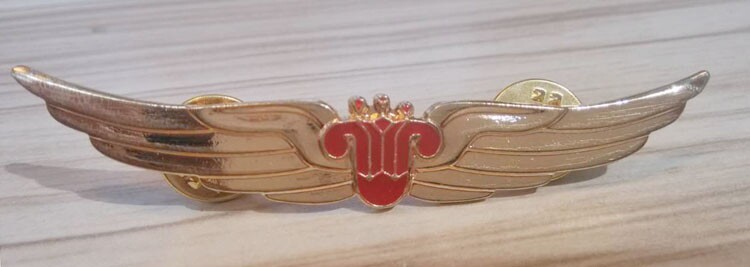 Special Offer: China Southern Airlines Brooch