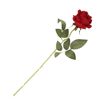 Elbow flannel corner rose single thin rod flannel small round rose home decoration living room ornaments silk flower artificial flower