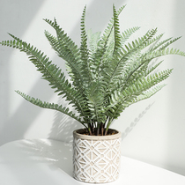 LIVETAI simulation fern leaf plant potted Nordic small fresh green plant ornaments living room bedroom office decoration