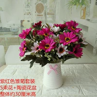 5 фиолетовая красная рогашка+ваза