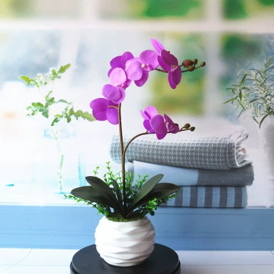 PU Фатэенопсис моделирование цветочниц набор фальшивый цветок цветочный цветок