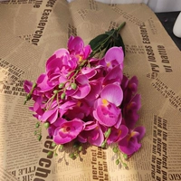 7 вилка одиночный фалаенопсис