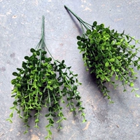 1 в Югали Цао