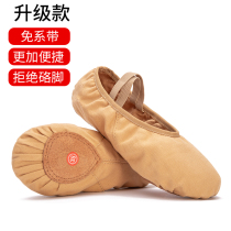 Dance shoes Womens soft-soled practice shoes Childrens ballet shoes Lace-free Chinese national body cat claws adult dance shoes