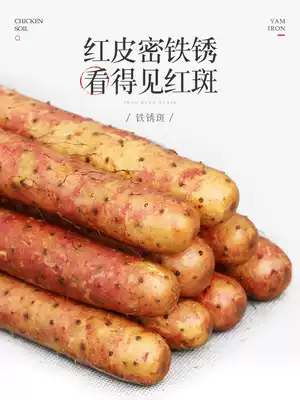 Wenxian purple skin bone chicken soil iron bar Yam 5kg Henan Jiaozuo Huaihuai Mountain fresh iron bar authentic