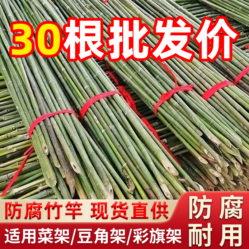 Bamboo Poles for Vegetable Gardens, Garden Vegetable Racks, Bamboo Fence, Outdoor Bamboo Fence, Anti-Corrosion Durable Bamboo Poles, Colorful Flag Poles, Bamboo Sticks