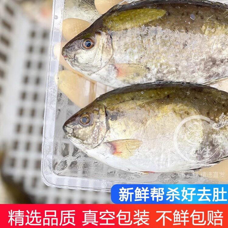 泥猛鱼怎么选才新鲜?2025年最新挑选指南来了!-好物推荐-淘宝好物网