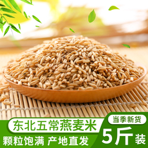 Xinmi oatmeal rice 5 kg Northeast whole grains farm-produced germ rice naked oat kernels Bulk whole grains