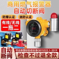 Gas leak alarm commercial automatic shut-off valve liquefied gas leakage gas tank manipulator automatic alarm device