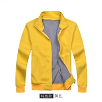 Чистый цвет/желтый