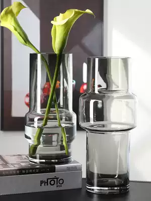 Creative Japanese transparent glass vase living room flower arrangement light luxury modern simple home decorations dining table ornaments