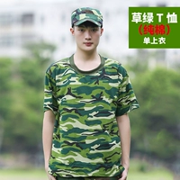 Чистая хлопчатобумажная трава зеленая (одиночная t -манатья)