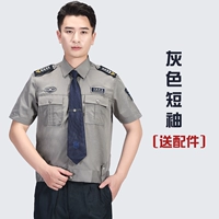 Футболка, аксессуары, короткий рукав