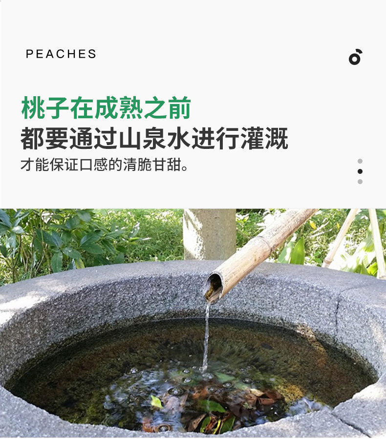 孟晏丑桃毛桃桃子新鲜水果5斤