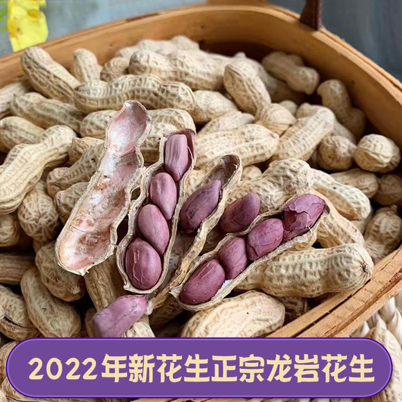 Fujian specialty Longyan wet roasted purple peanuts crispy authentic Liancheng red peanuts boiled and dried four five-spice