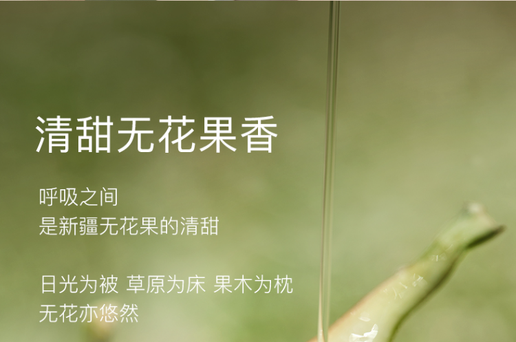 Image100_76782_1