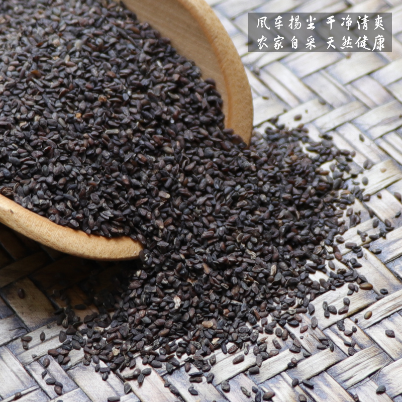 Chinese herbal medicine plantain seed plantain seed plantain seed tea bubble water 500g