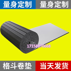 Sanda Judo Mat Fitness Training Ground Fighting Roll Mat Dance Wrestling Practice Taekwondo Mat Wushu Fighting