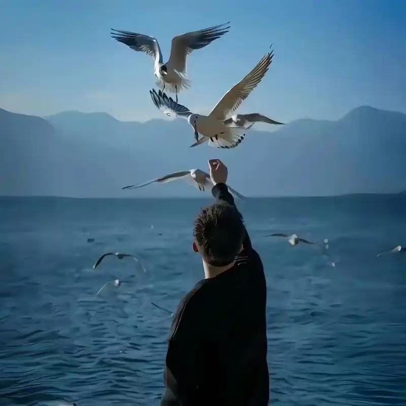 掌柜黑科技的LOGO